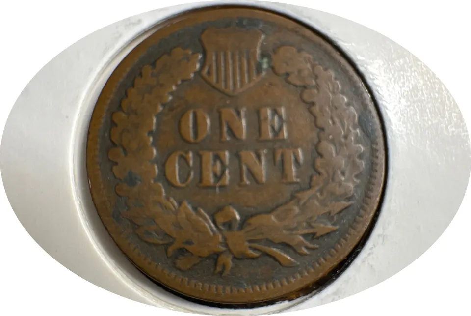 1905-P Indian Head Cent Ungraded — back