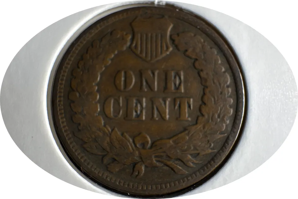 1902-P Indian Head Cent Ungraded — back