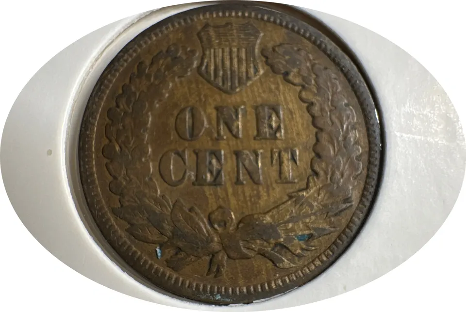 1905-P Indian Head Cent Ungraded — back