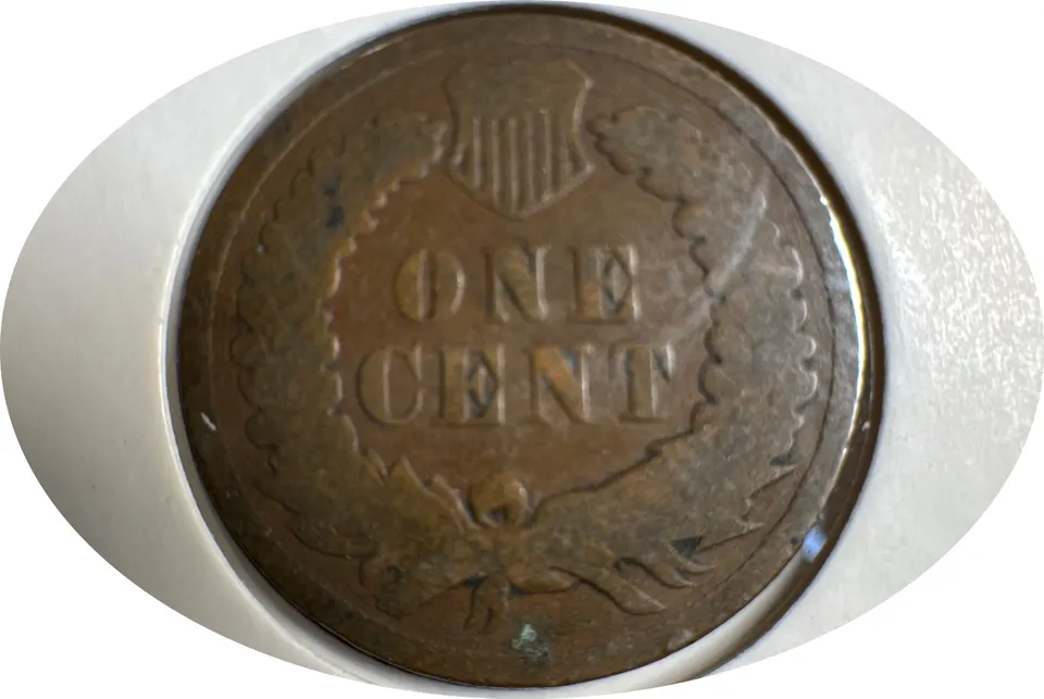 1905-P Indian Head Cent Ungraded — back