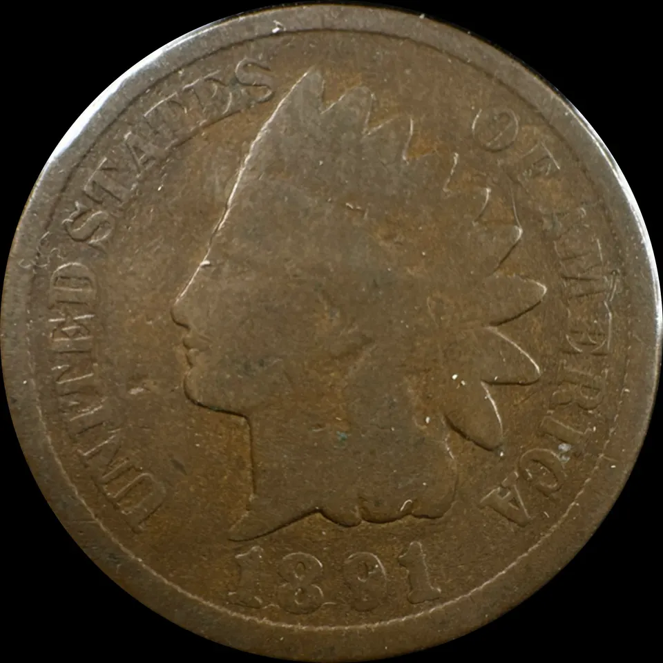 1891-P Indian Head Cent Ungraded — front