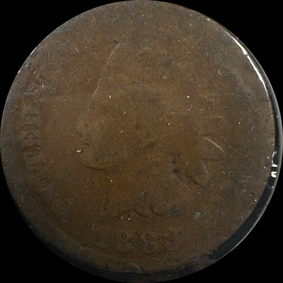 1883-P Indian Head Cent Ungraded — front