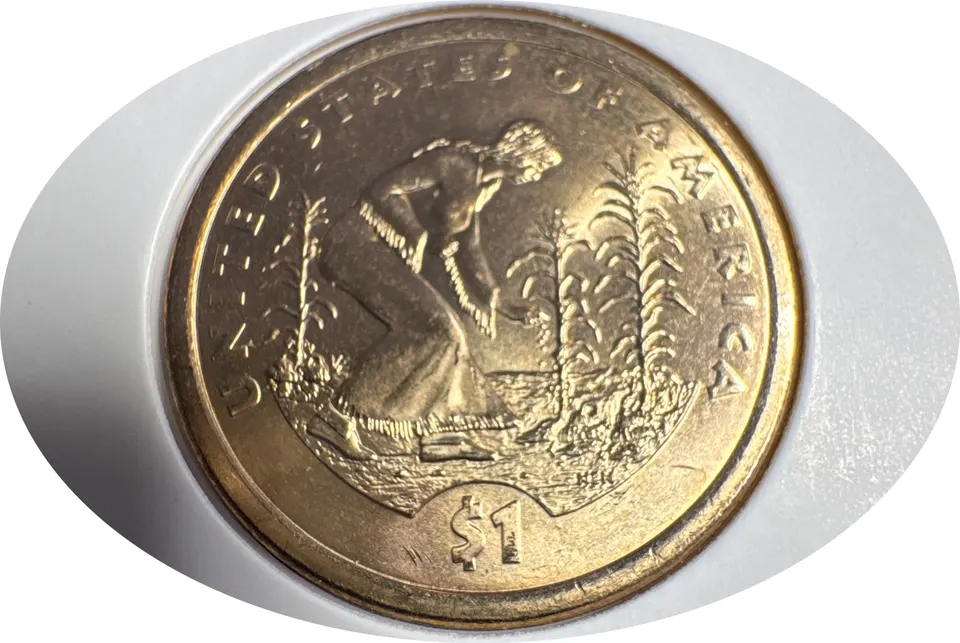 2009-D Sacagawea Dollar Ungraded — back