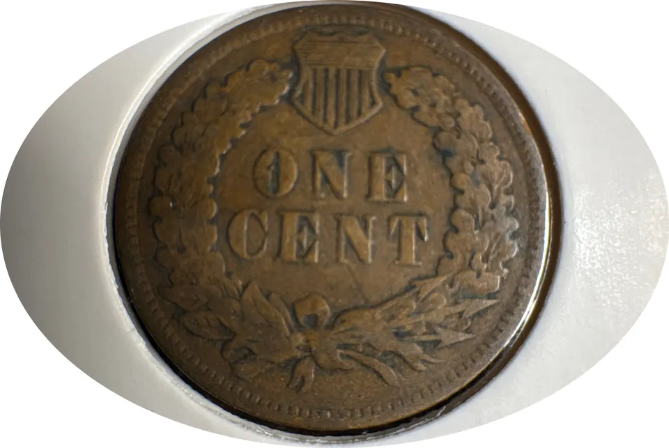 1901-P Indian Head Cent Ungraded — back