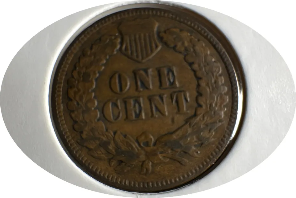 1902-P Indian Head Cent Ungraded — back