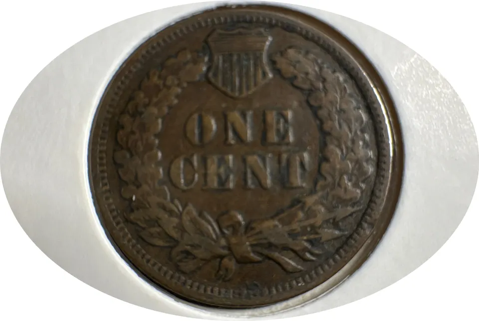 1906-P Indian Head Cent Ungraded — back