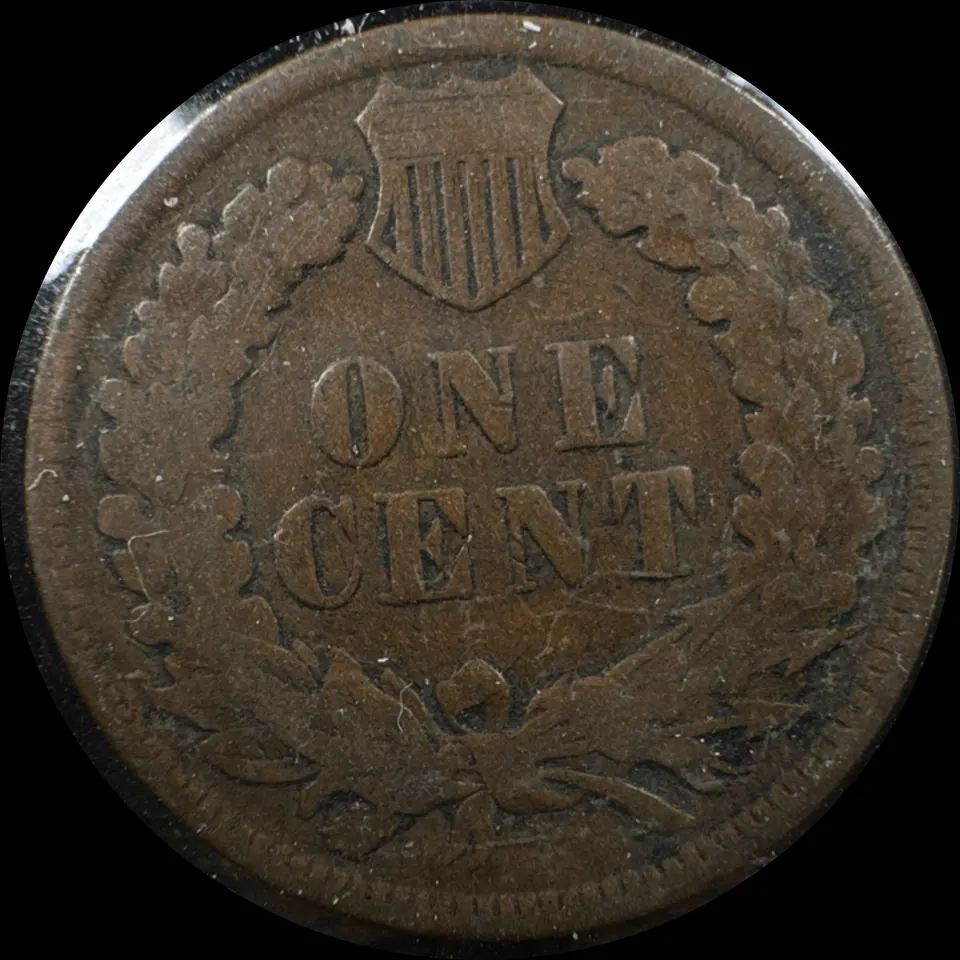 1906-P Indian Head Cent Ungraded — back