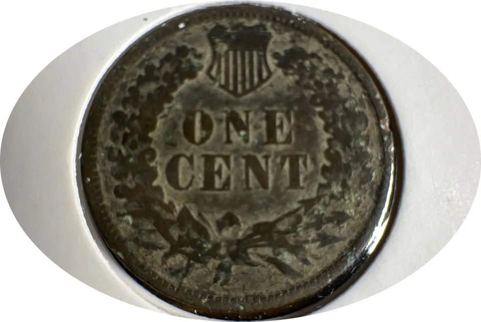 1891-P Indian Head Cent Ungraded — back