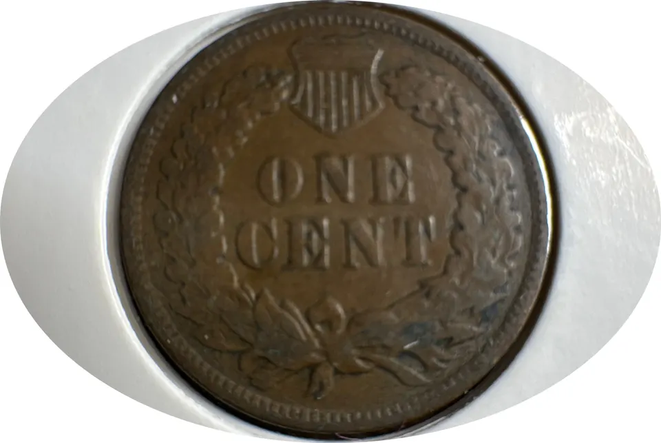 1906-P Indian Head Cent Ungraded — back
