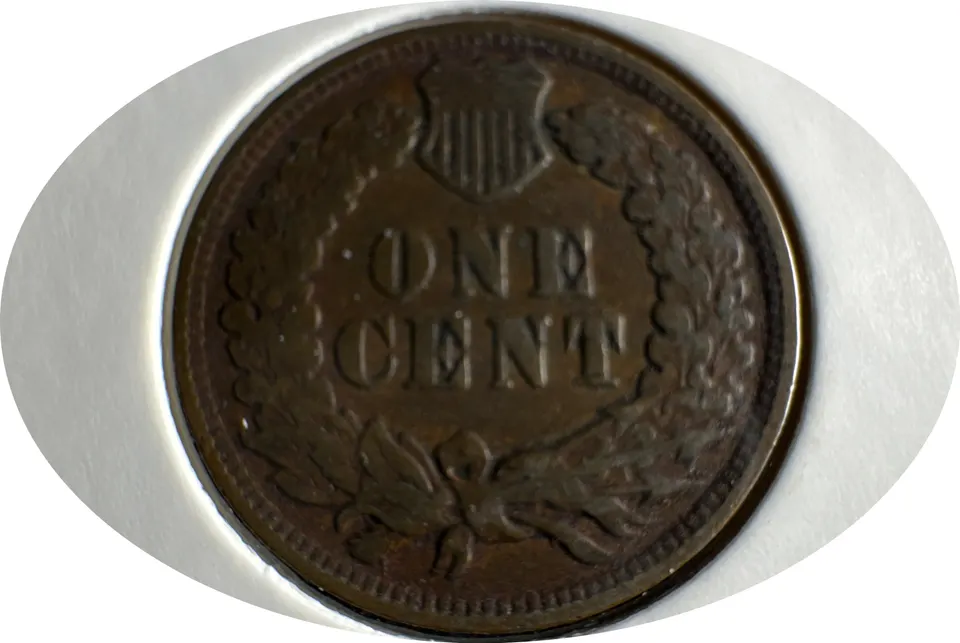 1902-P Indian Head Cent Ungraded — back