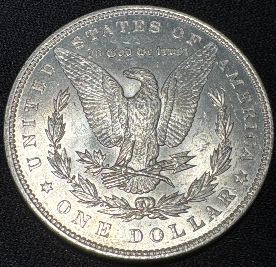 1898-P Morgan Dollar Ungraded — back