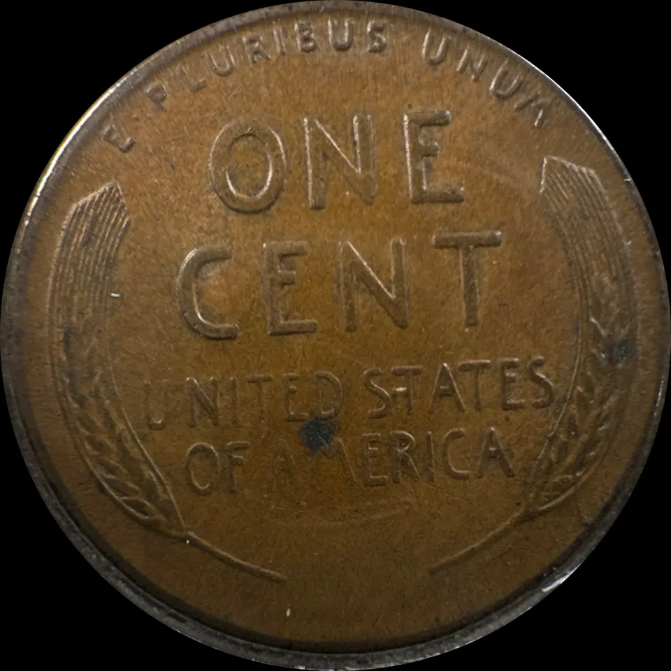 1955-S Lincoln Cent Ungraded — back