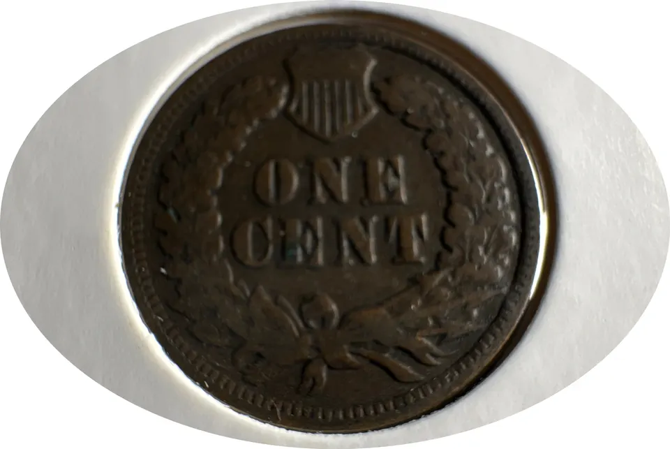 1902-P Indian Head Cent Ungraded — back