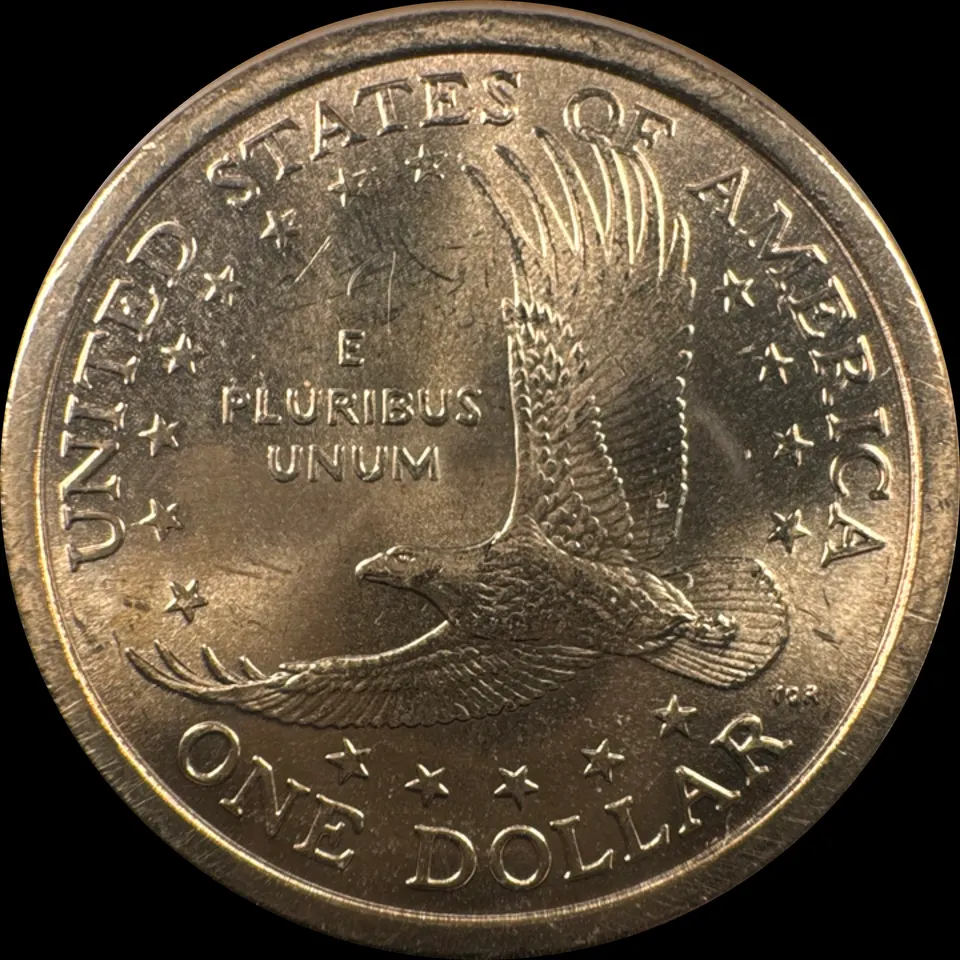 2001-D Sacagawea Dollar Ungraded — back