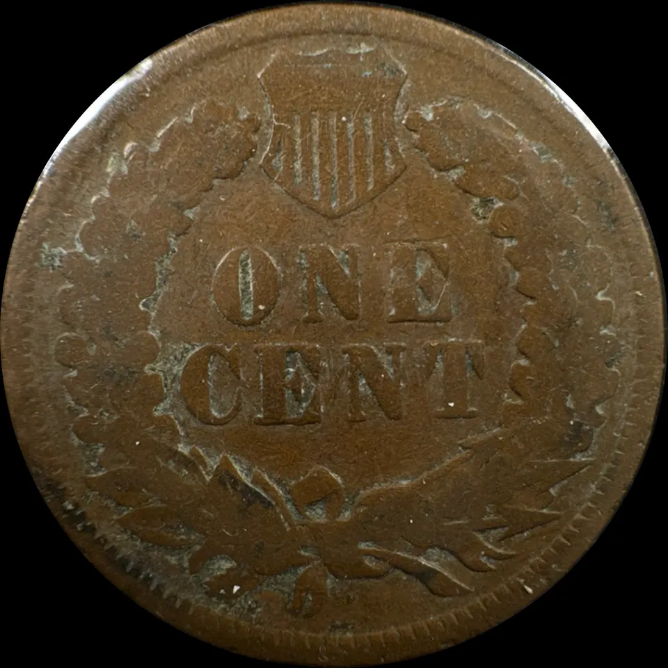 1906-P Indian Head Cent Ungraded — back