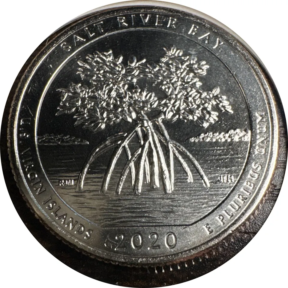 2020-P Washington Quarter Ungraded — back