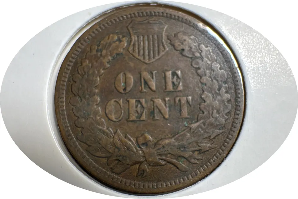 1906-P Indian Head Cent Ungraded — back