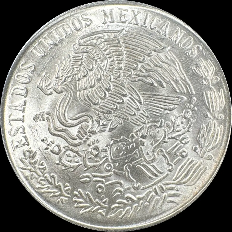 1978 100 Peso Ungraded — back