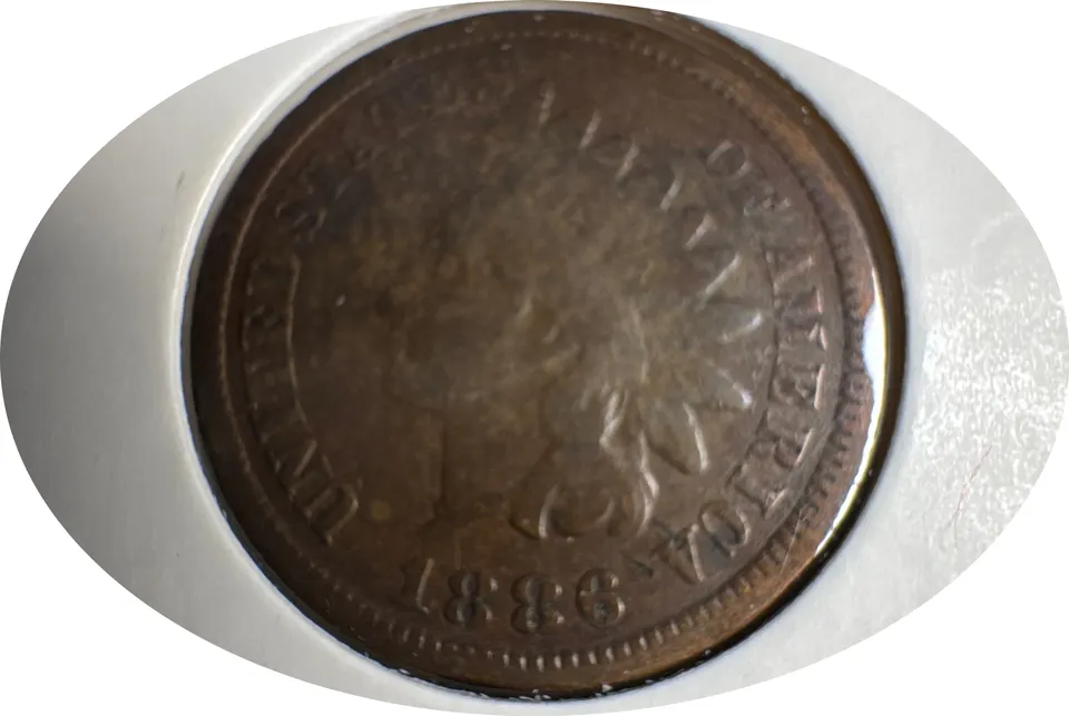1886-P Indian Head Cent Ungraded — front