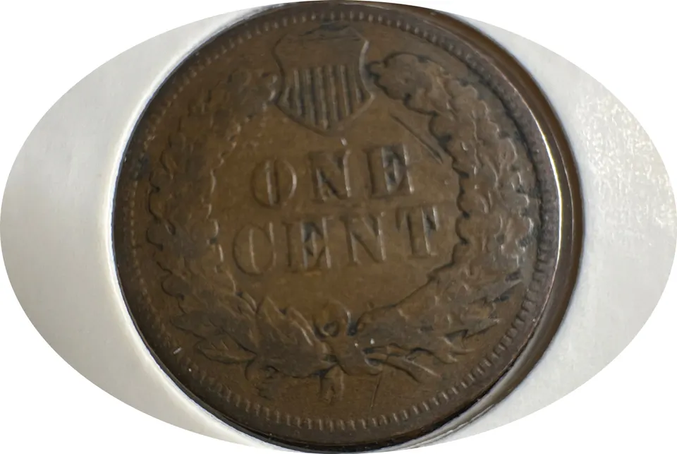 1905-P Indian Head Cent Ungraded — back
