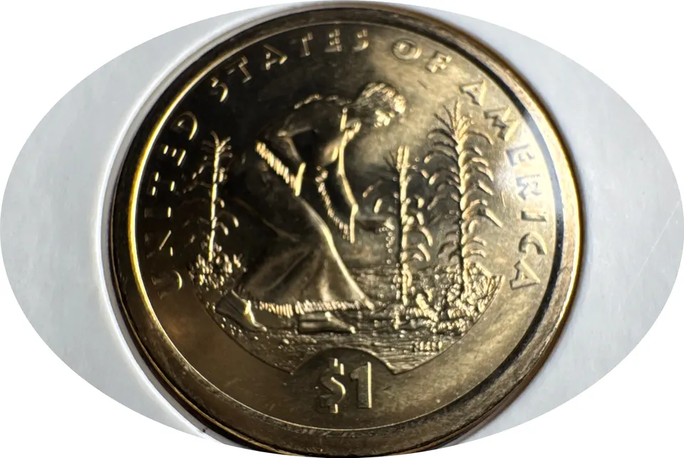 2009-P Sacagawea Dollar Ungraded — back