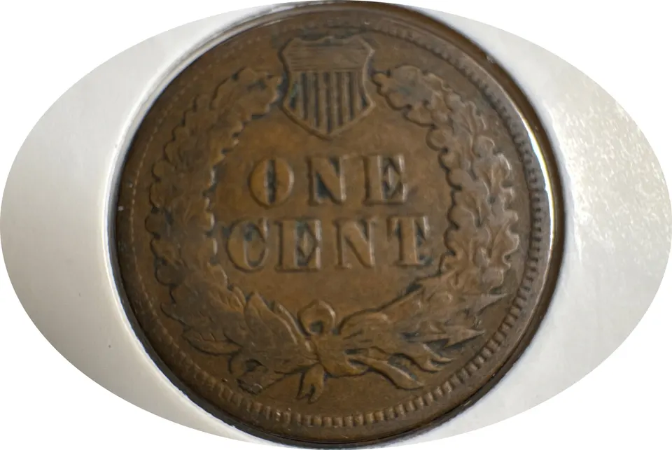 1905-P Indian Head Cent Ungraded — back