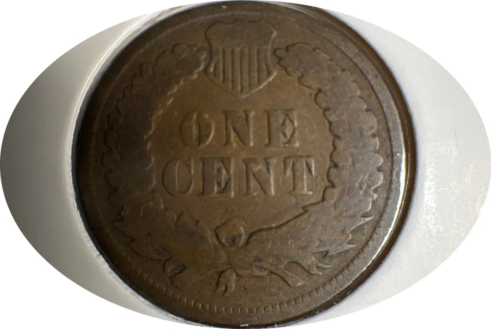 1900-P Indian Head Cent Ungraded — back