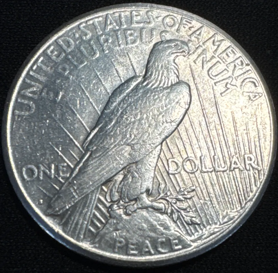1924-S Peace Dollar Ungraded — back