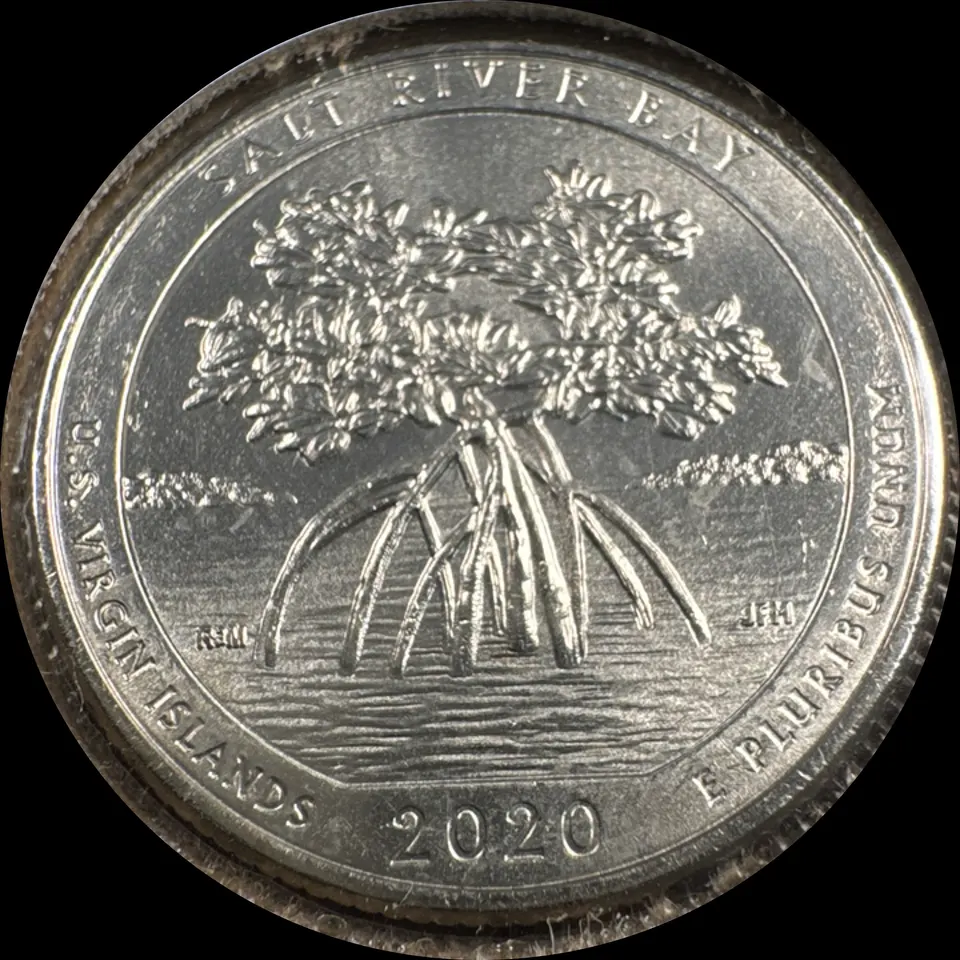 2020-P Washington Quarter Ungraded — back
