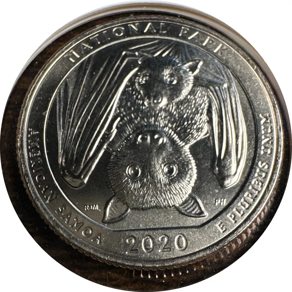 2020-D Washington Quarter Ungraded — back
