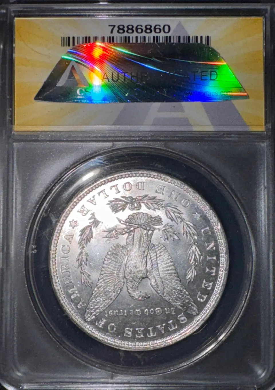 1881-P Morgan Dollar MS60 — back