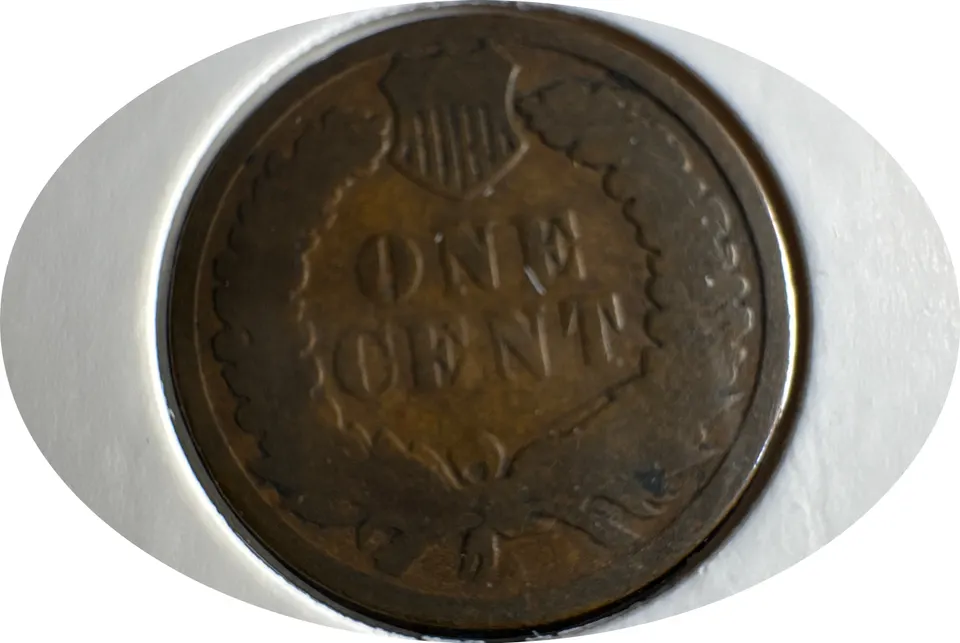 1882-P Indian Head Cent Ungraded — back