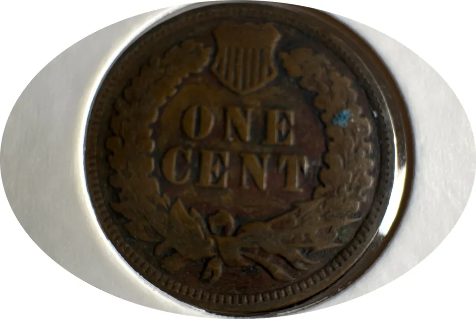 1903-P Indian Head Cent Ungraded — back