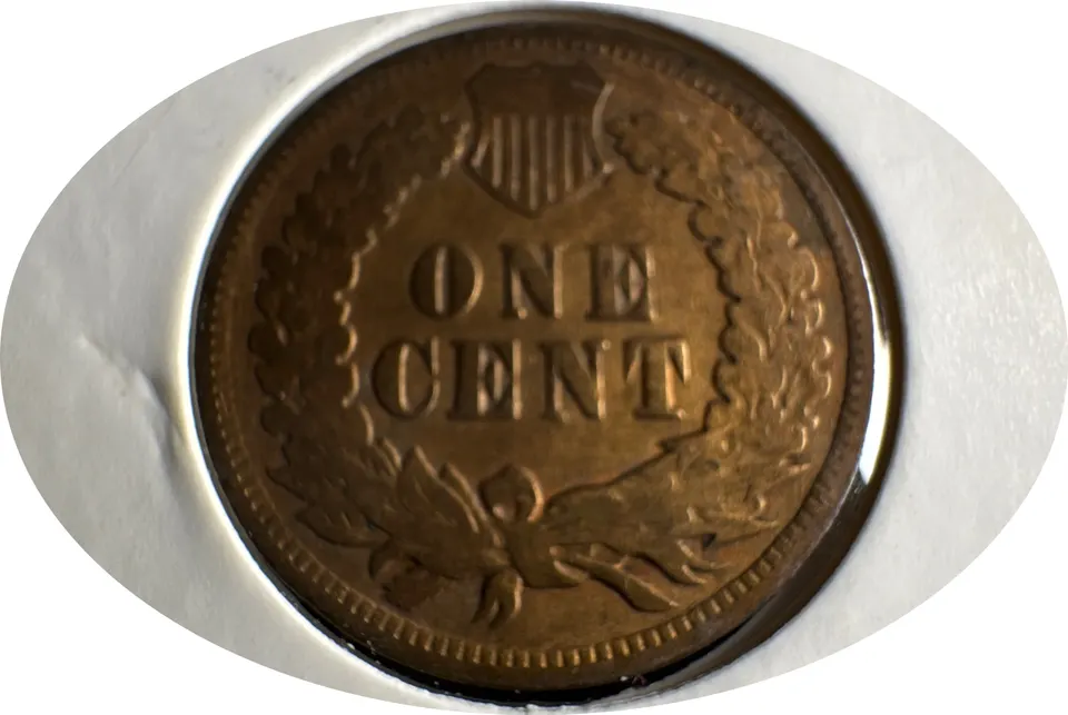 1903-P Indian Head Cent Ungraded — back