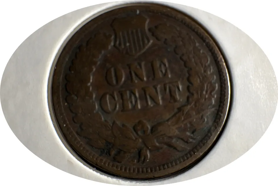 1902-P Indian Head Cent Ungraded — back