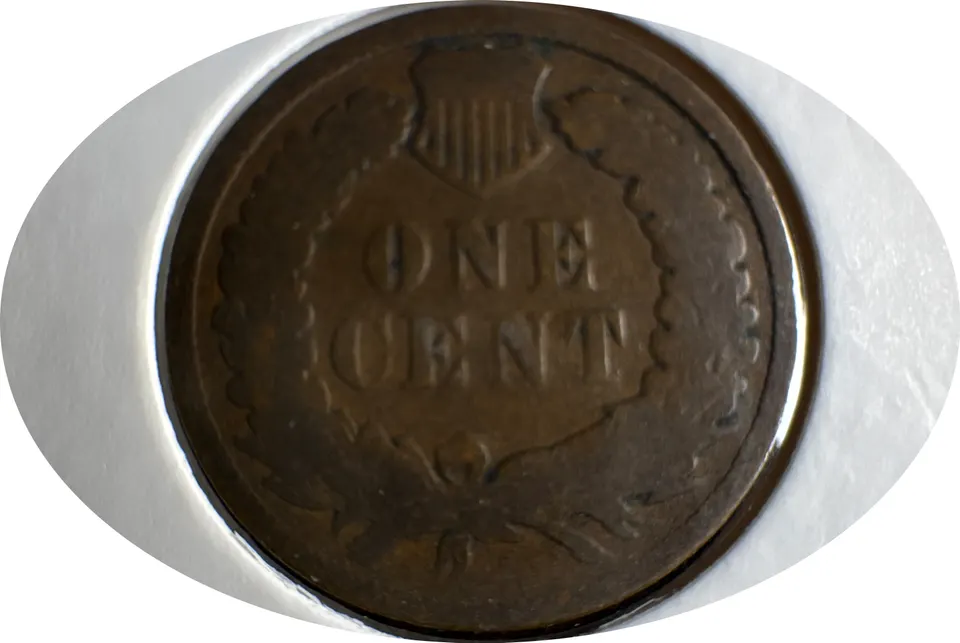 1880-P Indian Head Cent Ungraded — back