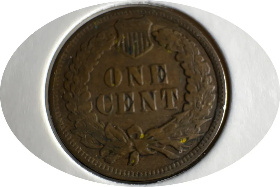1902-P Indian Head Cent Ungraded — back