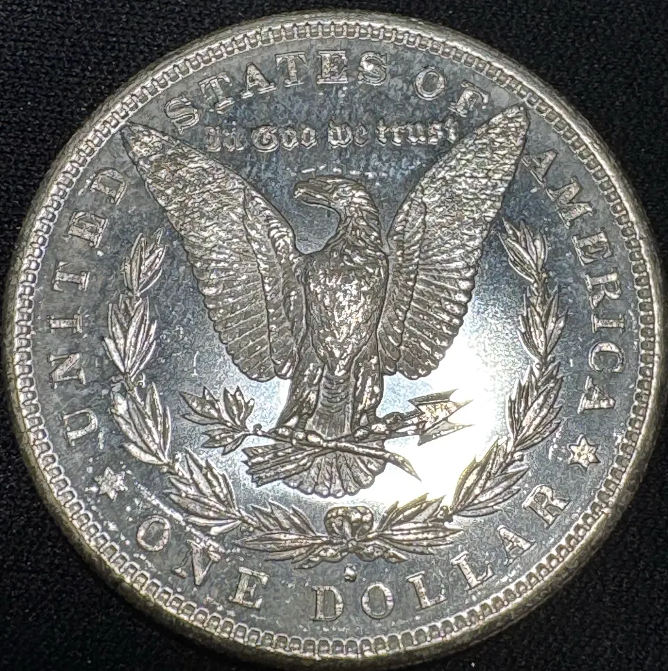 1881-S Morgan Dollar Ungraded — back