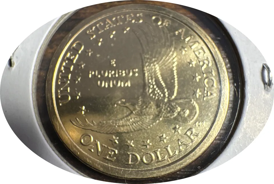 2004-D Sacagawea Dollar Ungraded — back