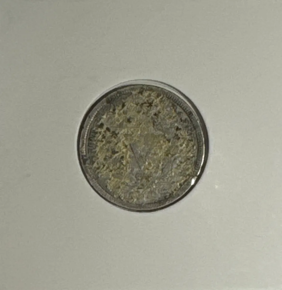 1910-P Liberty V Nickel Ungraded — back