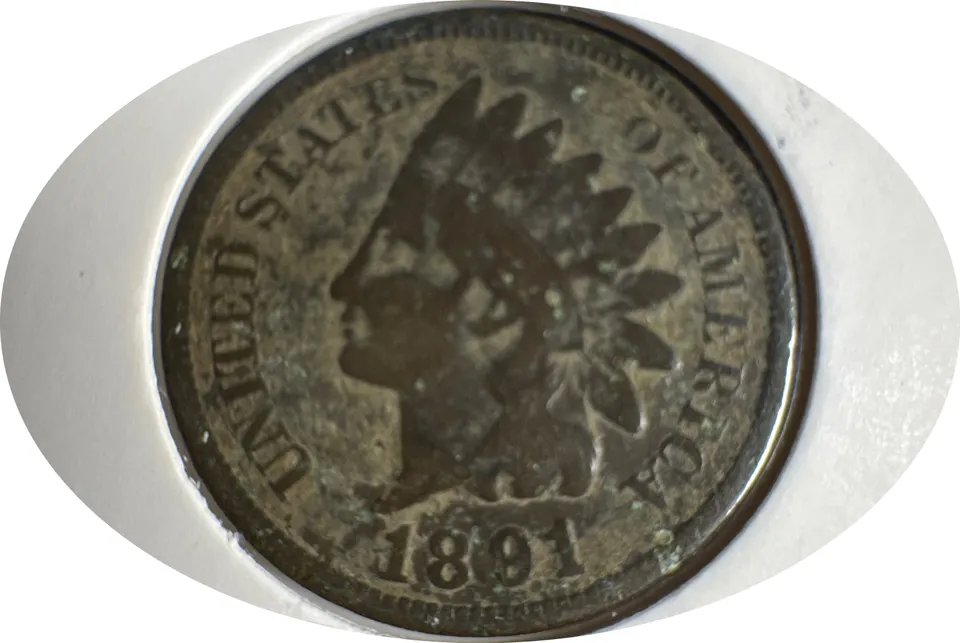 1891-P Indian Head Cent Ungraded — front
