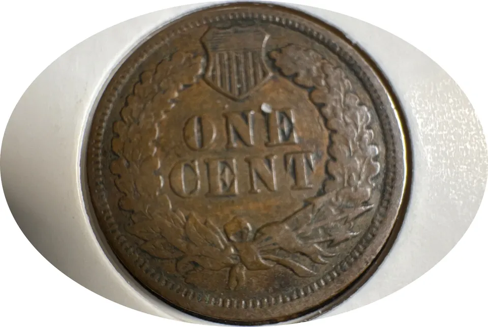 1901-P Indian Head Cent Ungraded — back