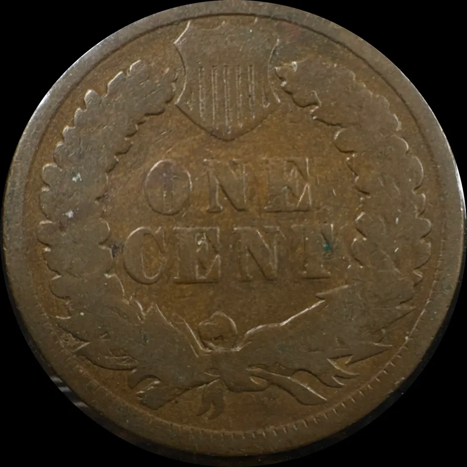 1891-P Indian Head Cent Ungraded — back
