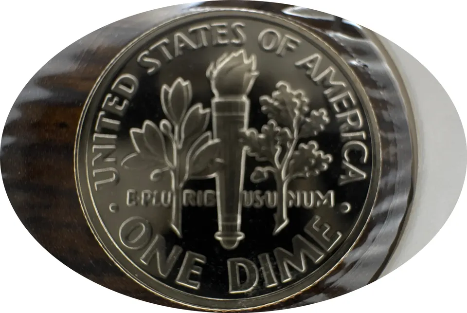 1991-S Roosevelt Dime Ungraded — back