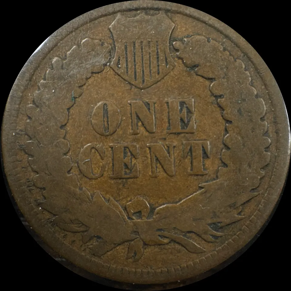 1891-P Indian Head Cent Ungraded — back