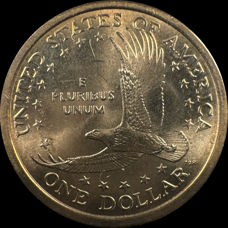 2000-D Sacagawea Dollar Ungraded — back