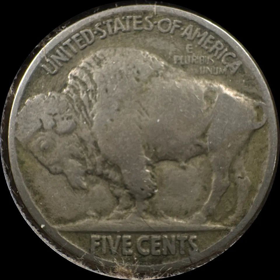 1918-P Buffalo Nickel Ungraded — back