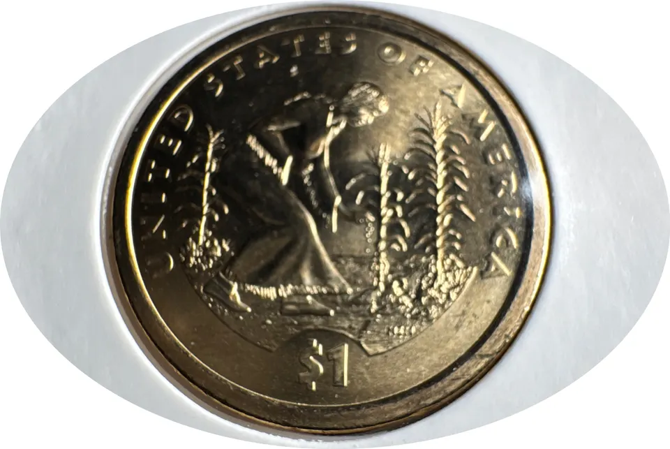 2009-P Sacagawea Dollar Ungraded — back