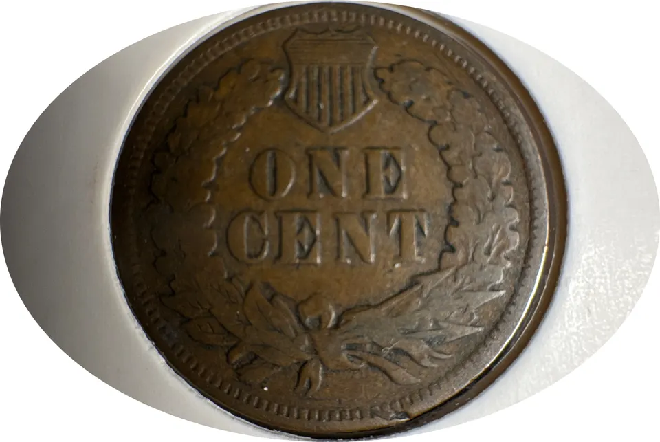1901-P Indian Head Cent Ungraded — back