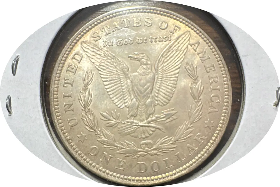 1921-P Morgan Dollar Ungraded — back